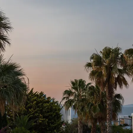 Celia ヴィラ ナウサ