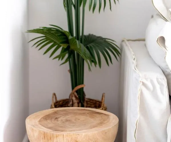 Celia Villa Naousa (Paros)