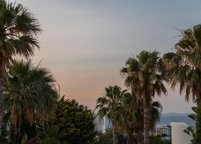 Celia Villa Naousa (Paros)